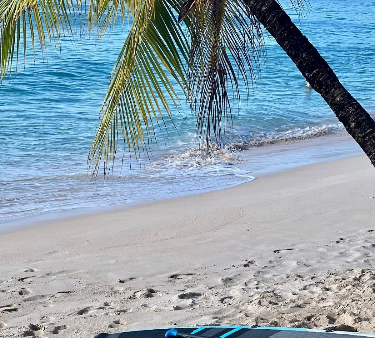 Exclusive 4 Beds In Sandy Lane Saint James Barbados